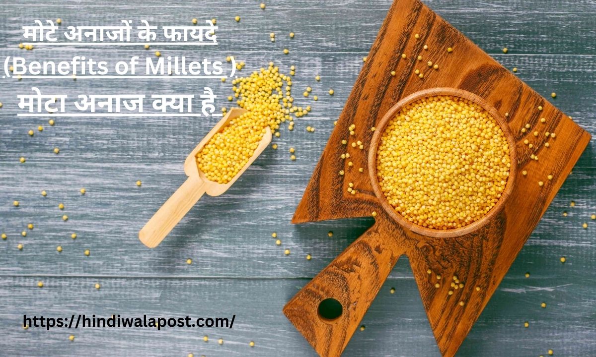 मोटे अनाजों के फायदे (Benefits of Millets ),मोटा अनाज क्या है .... जिसे खाने की सलाह मोदीजी ने दी