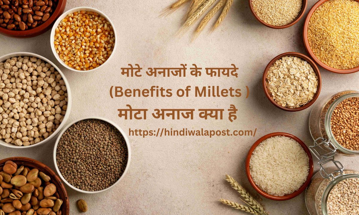 Millets in Hindi मोटे अनाजों के फायदे  (Benefits of Millets ),मोटा अनाज क्या है ….