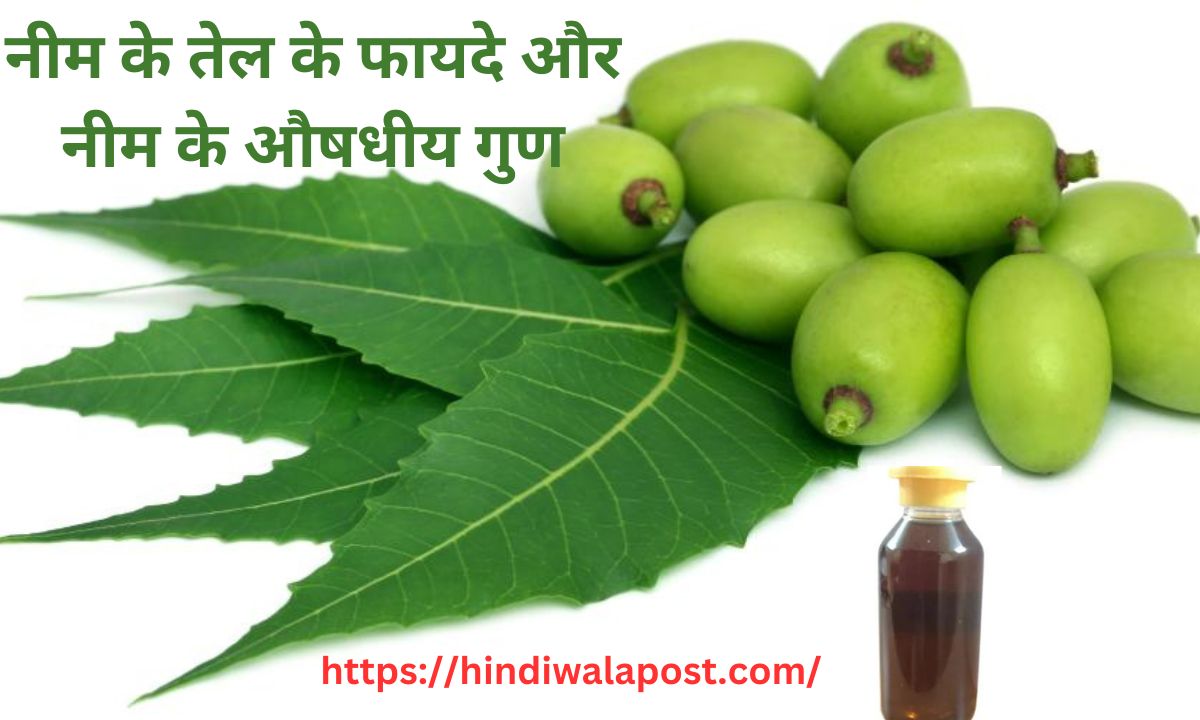 Benefits of Neem Oil in Hindi | नीम के तेल के फायदे और नीम तेल के औषधीय गुण