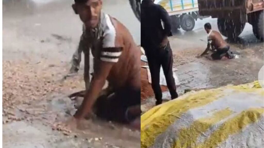 Viral Video बारिश में अपनी फसल बचाने के बेबस किसान ने क्या किया देखे वीडियो देख नहीं रुकेंगे आंसू